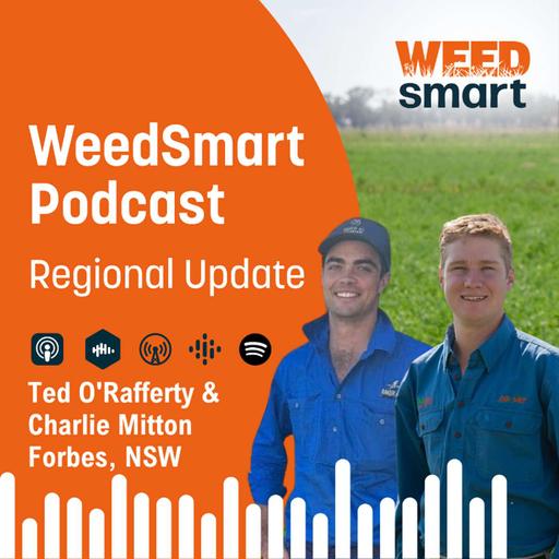 Regional Update - Ted O'Rafferty & Charlie Mitton, Forbes, NSW