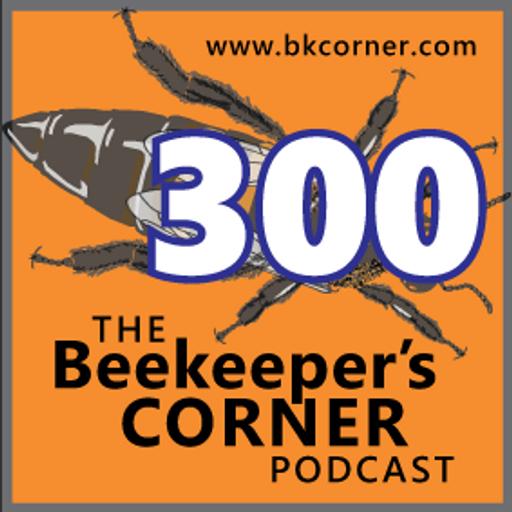 BKCorner Episode 300 - Three Hundred