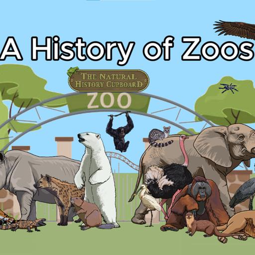 A History of Zoos ( Nature Bites)