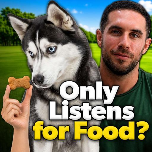 #161 Why Your Dog Only Listens For Food | 12-Step Dog Training Progression