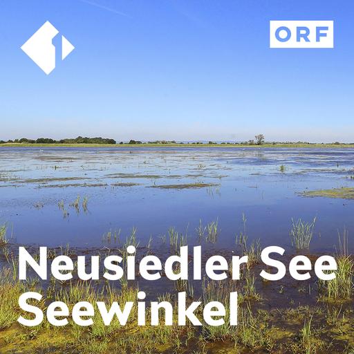 Nationalpark Neusiedler See - Seewinkel