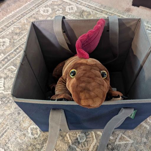 Podcast 337 - Smol Beeg Animals