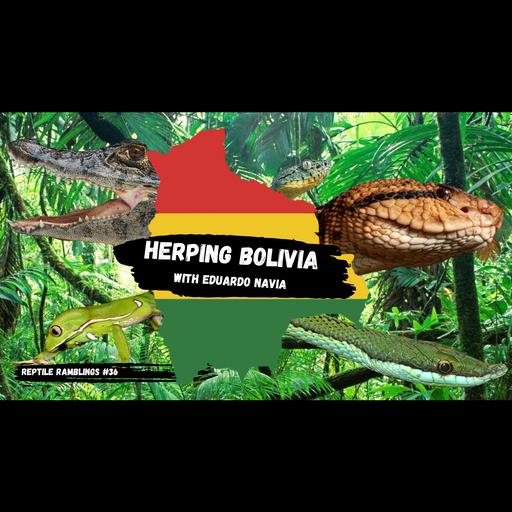 Herping Bolivia with Eduardo Navia | Reptile Ramblings #36