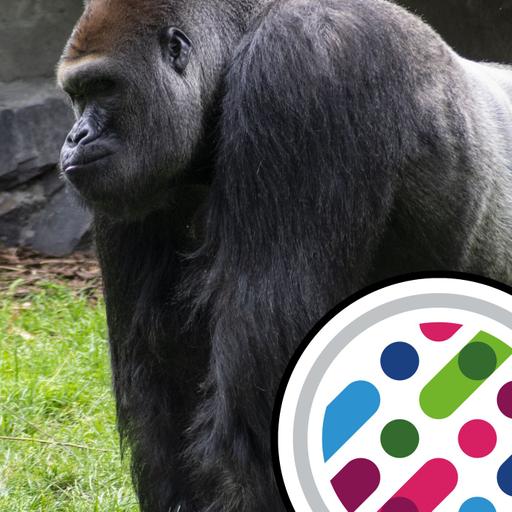 Gorilla sperm, and subversive gambling machines