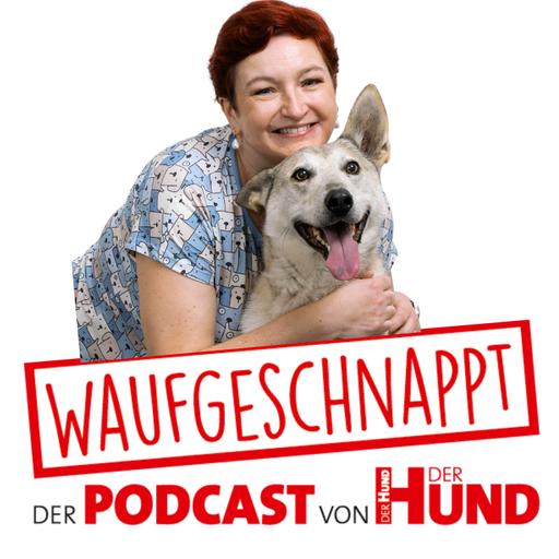 Verhalten, Ernährung & mehr - Dr. Stefanie Handl