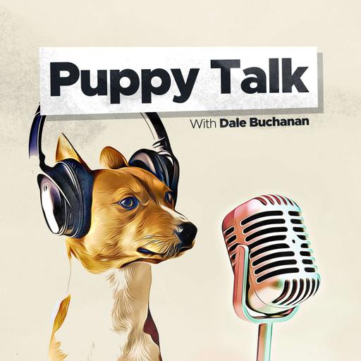 Puppy Expectations vs. Reality: What Every New Puppy Owner Needs to Know