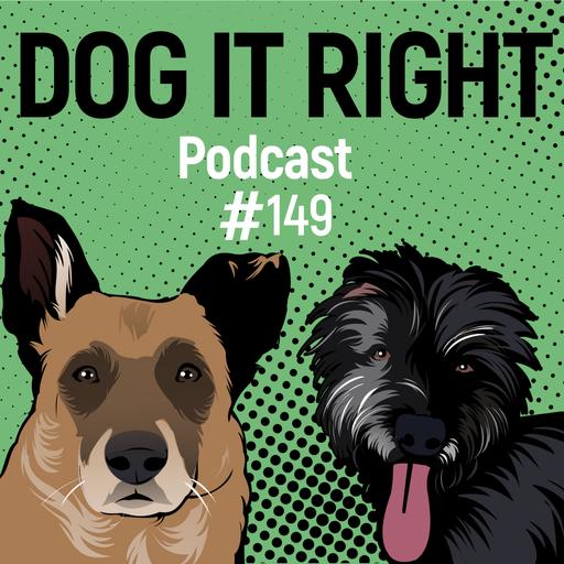 #149: Ignoriert dich dein Hund, sobald ein anderer Hund kommt? Warum das nichts mit eurer Bindung zu tun hat