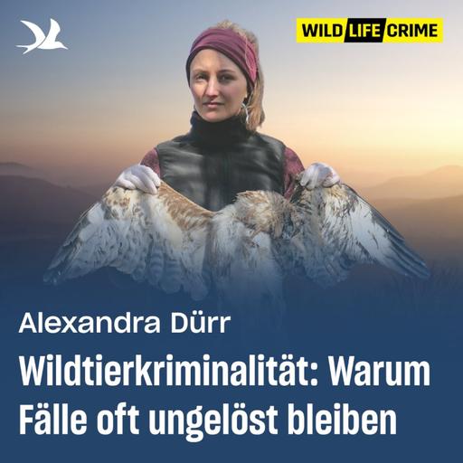 94. Wildtierkriminalität: Warum Fälle oft ungelöst bleiben
