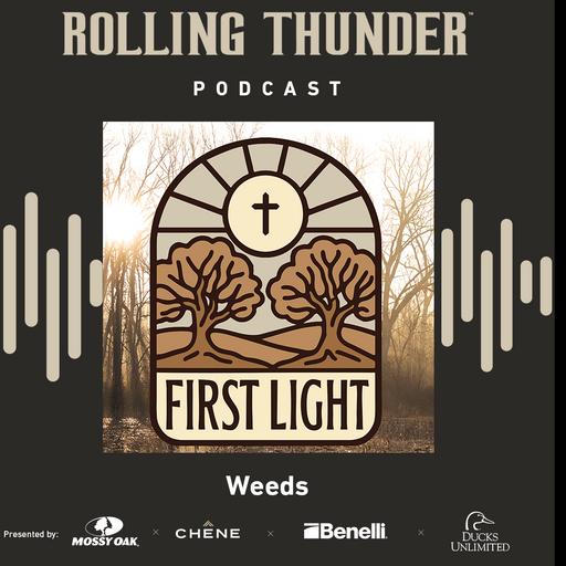 First Light, Weeds - Ep 45