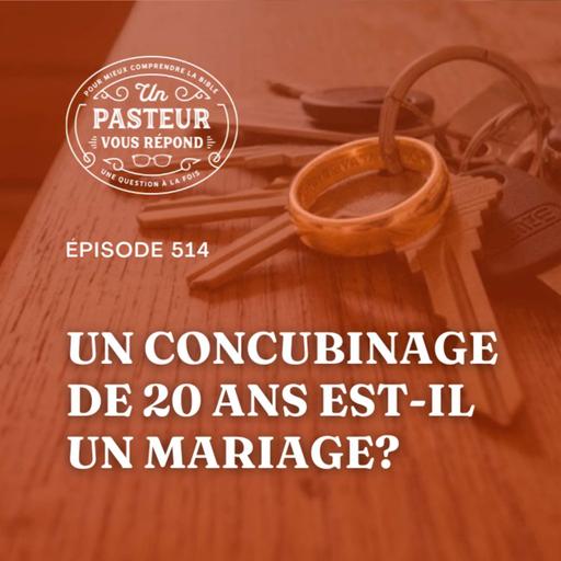 Un concubinage de 20 ans est-il un mariage? (Épisode 514)