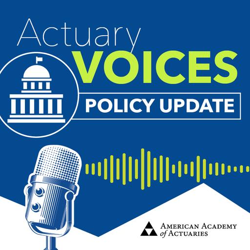Policy Update: Representing the U.S. Actuarial Perspective Globally