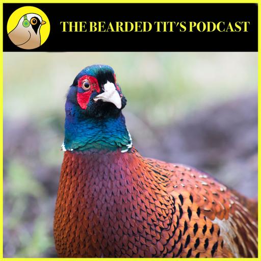 Life as a Gamekeeper ft James Bendall #196