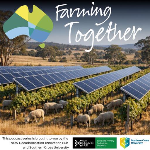 Decarbonising by the Glass