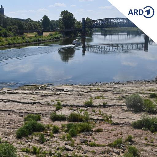 Hat die Elbe für die Schifffahrt noch eine Zukunft?