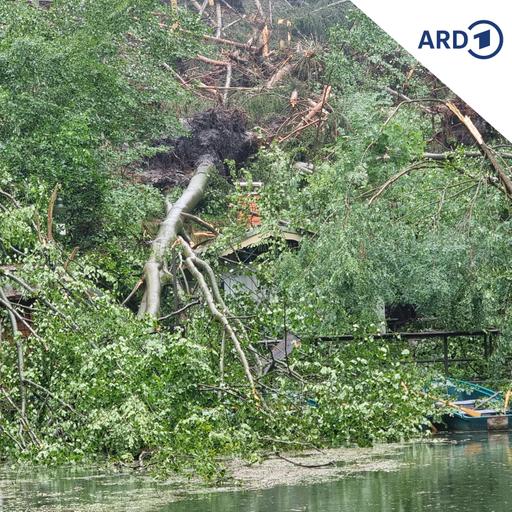 Unwetter in Rathen: Anfeindungen und Hass nach Spendenaktion