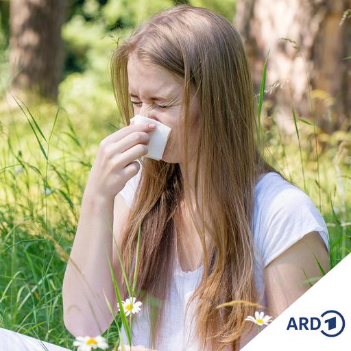 Hitze und Sonne verstärken Allergien