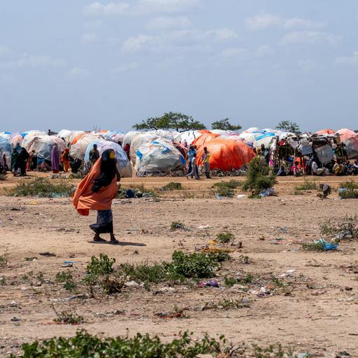 Inteligência artificial ajuda distribuição de ajuda humanitária na Somália
