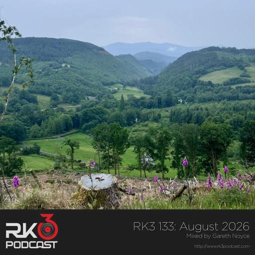 RK3 133: August 2026