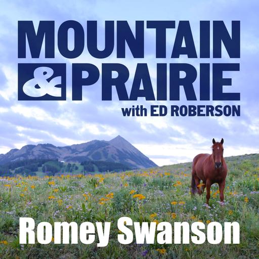 Romey Swanson — The Work of Finding Common Ground