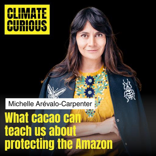 What cacao can teach us about protecting the Amazon, with Michelle Arévalo-Carpenter