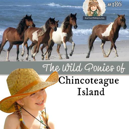 The Wild Ponies of Chincoteague Island (a special episode for Adelaide)