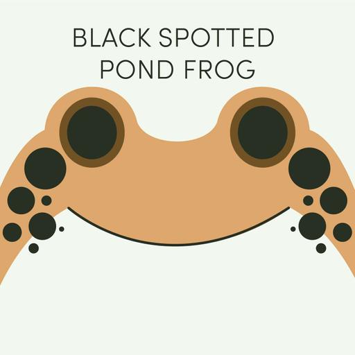 Black Spotted Pond Frog | Week of August 10th