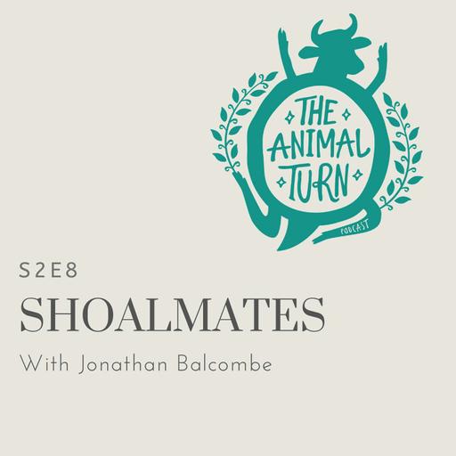 From the Archive: Shoalmates with Jonathan Balcombe