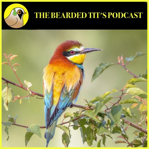 What Exactly is Twitching? ft Sam Viles #197