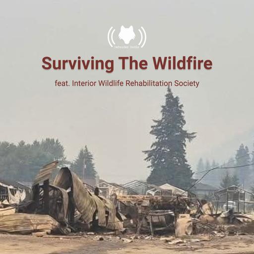 Surviving The Wildfire feat. Interior Wildlife Rehabilitation Society