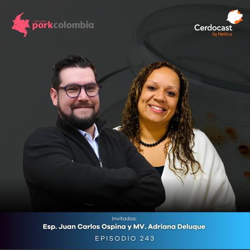 #243 - Diagnóstico en granjas porcinas: La inversión que evita pérdidas - MV. Adriana Deluque y Esp. Juan Carlos Ospina