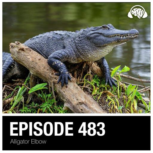 483: Alligator Elbow