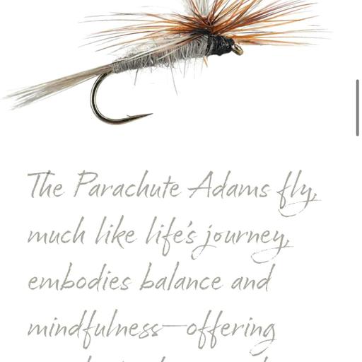 Jim Faust | Adams Parachute | Empowering Recovery From Addiction