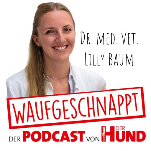Blähungen bei Hunden - Dr. med. vet. Lilly Baum