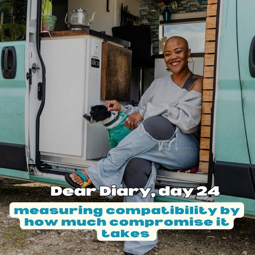 dear diary #24, measuring compatibility by how much compromise it takes