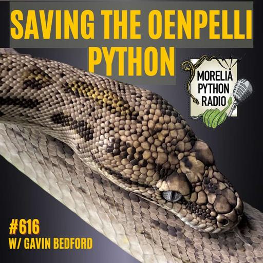 Saving The Oenpelli Python W/Gavin Bedford