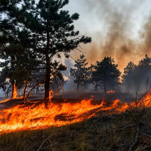 Fighting Fire with AI: Technosylva and The Future of Wildfire Prediction