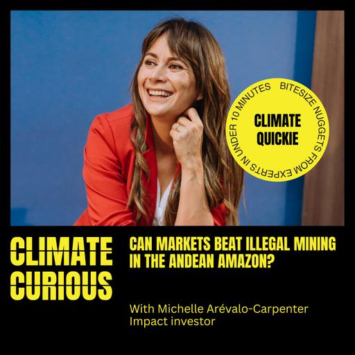Can markets beat illegal mining in the Andean Amazon?