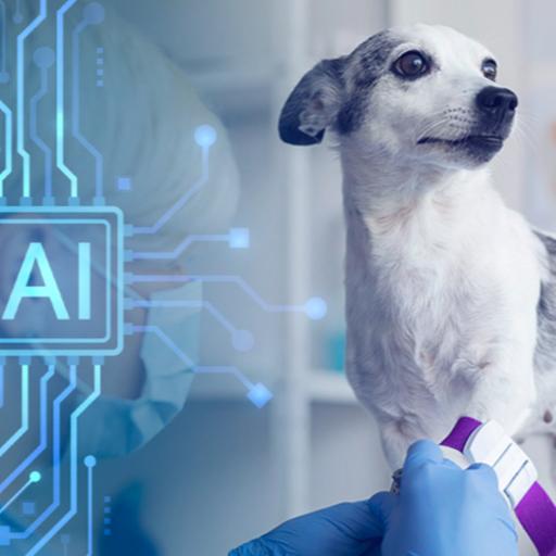 How AI and other rapidly advancing technologies are revolutionizing veterinary medicine