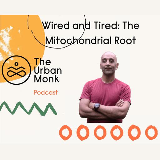 The Mitochondrial Root of Being Wired and Tired