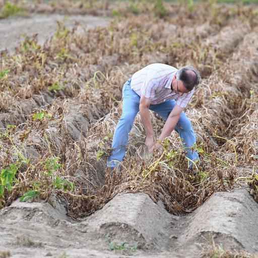 Wirtschaft und Klima - Grünes Wachstum oder grünes Schrumpfen