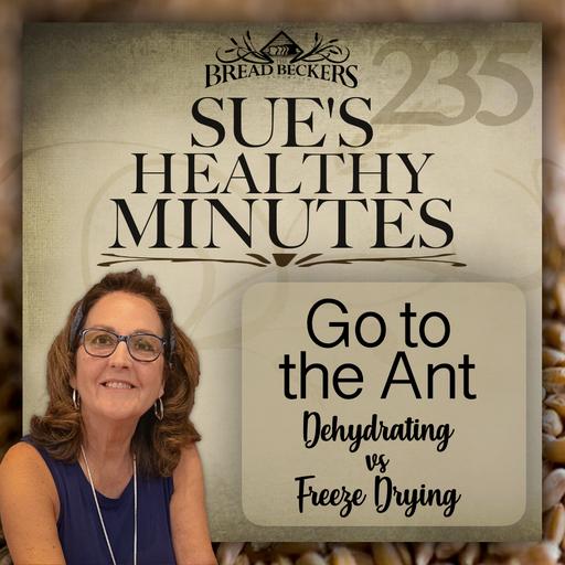 235: Go to the Ant - Dehydrating vs Freeze Drying
