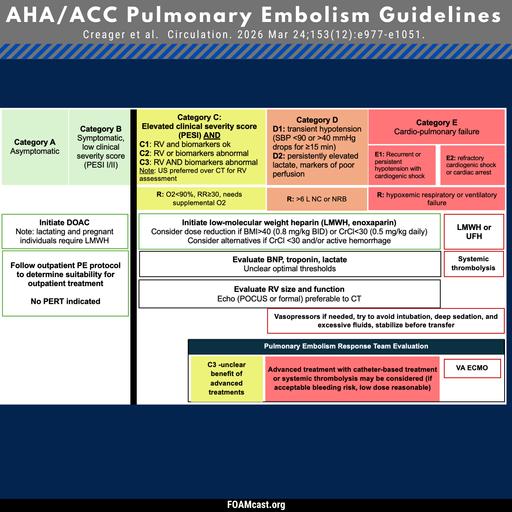 New AHA/ACC Pulmonary Embolism Guidelines
