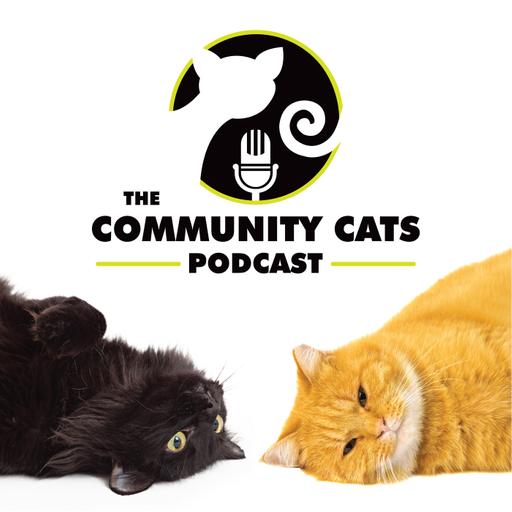 Ep 678: Ctrl+Alt+Meow: How an IT Guy Built a Home for Cat Lovers, with Darein Gray, Founder of Paw-Events.com