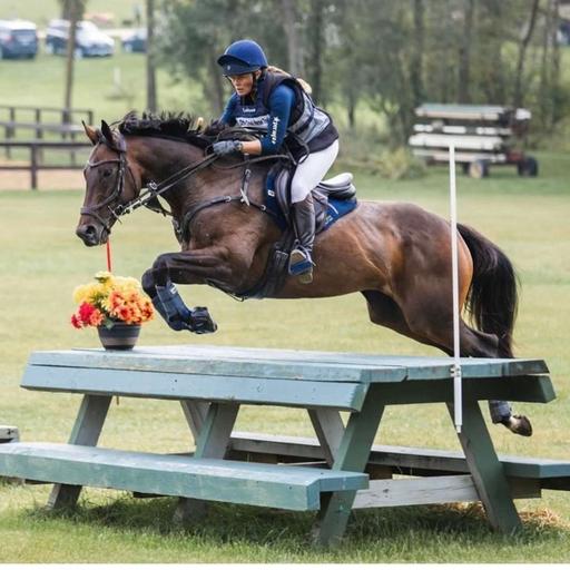 Allie Anderson - 3* Eventer