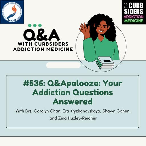 #536 Q&Apalooza: Your Addiction Questions Answered!