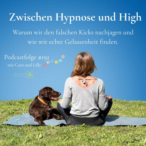 Zwischen Hypnose und High: Wahre Gelassenheit | Kokain, Suchtverhalten & Neurobiologie