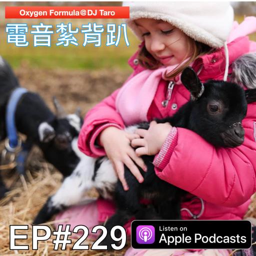 EP229【派對電音】應無住所，而生其心