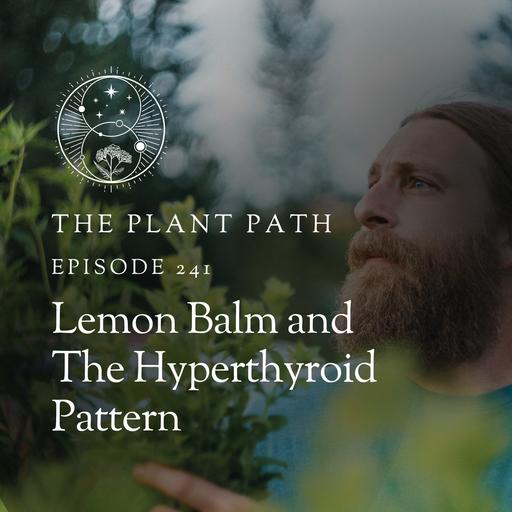 Lemon Balm and The Hyperthyroid Pattern