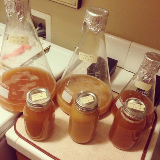Brü's Views: Brewing Secrets & Tips