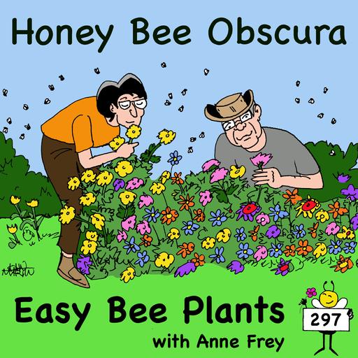 Easy Bee Plants with Anne Frey (297)